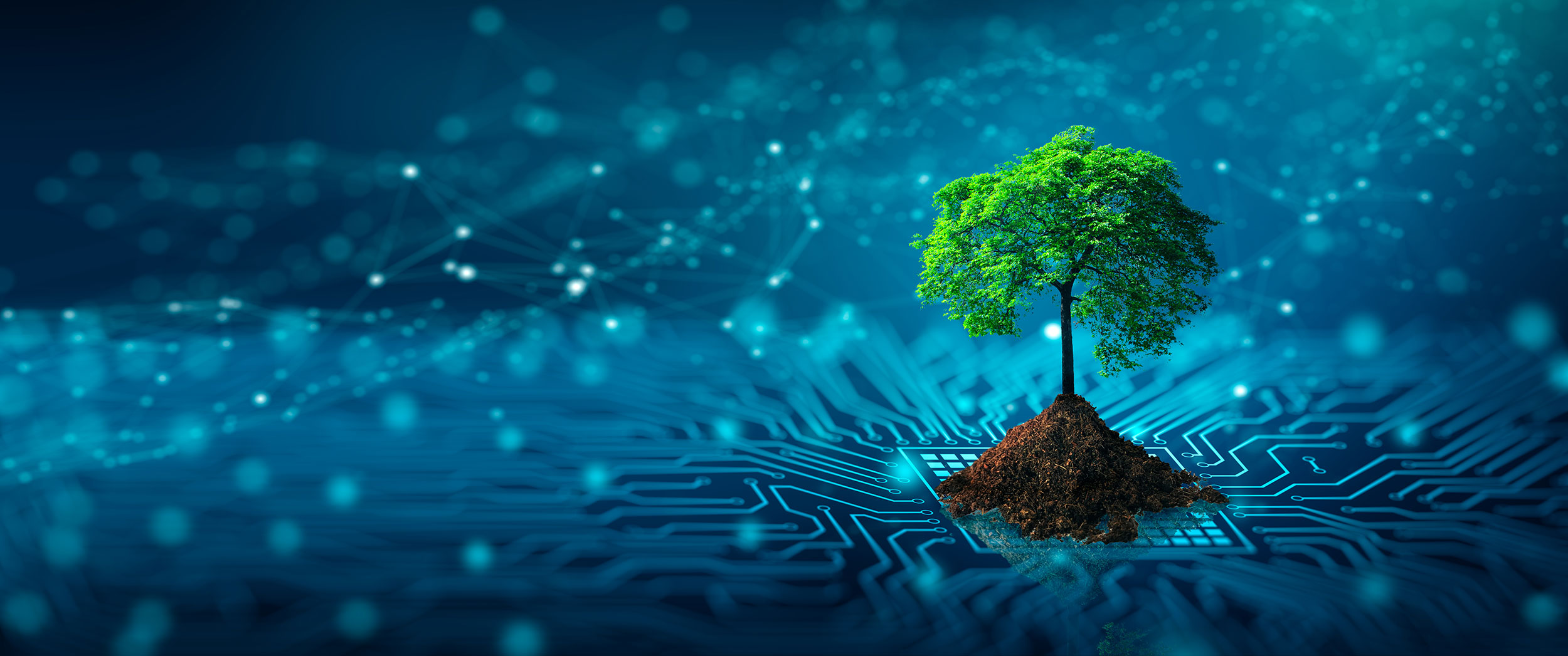 Green IT Services & Solutions